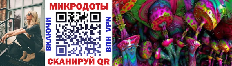 Псилоцибиновые грибы GOLDEN TEACHER  blacksprut онион  Курск 