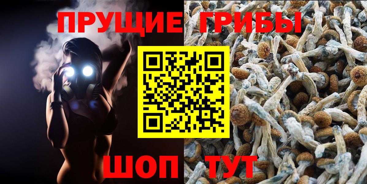 Курск  Псилоцибиновые грибы мицелий  Вход с VPN 