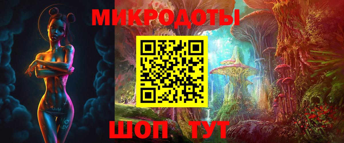 Галлюциногенные грибы Psilocybine cubensis Курск